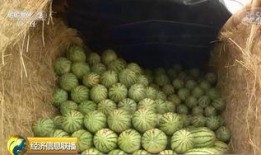 国内最大免费吃瓜,带你畅享娱乐盛宴