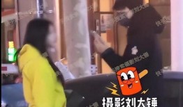 刘大锤爆料真实吗视频,揭秘事件真相，可信度如何？